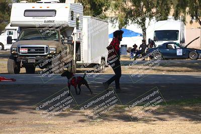 media/Nov-11-2023-GTA Finals Buttonwillow (Sat) [[117180e161]]/Around the Pits/